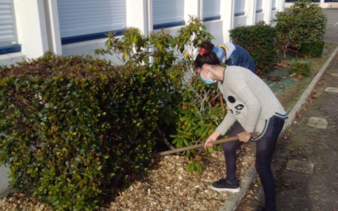 Embellissement du collège étape 2 :  paillage et plantation au patio