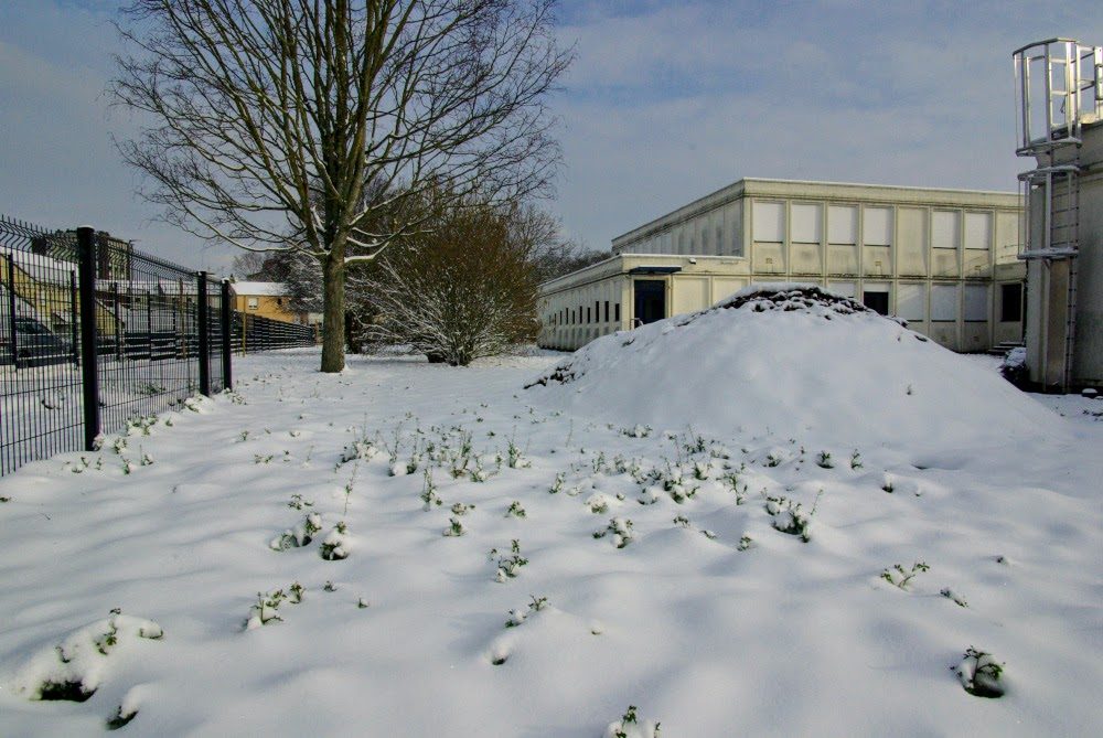 Le collège, sous la neige