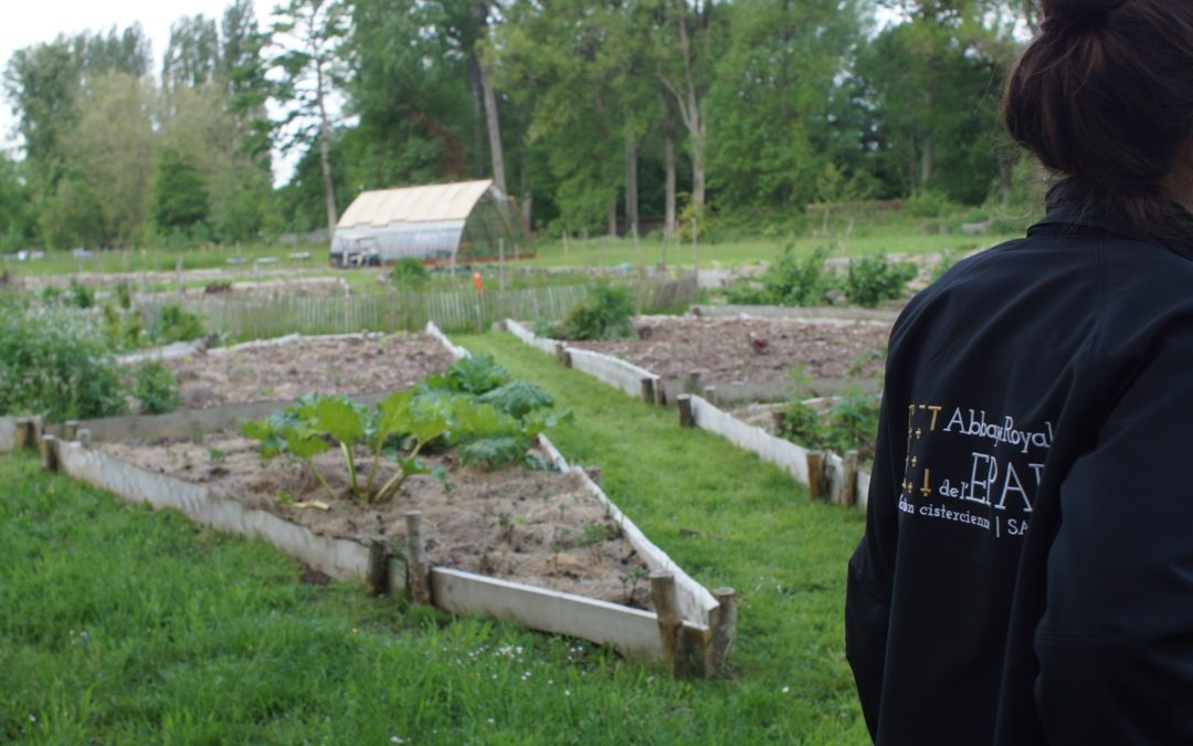 Découverte de la permaculture à l’Abbaye de l’Epau